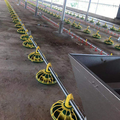 سیستم تغذیه جوجه های گوشتی خط خوراک مرغ OEM / ODM