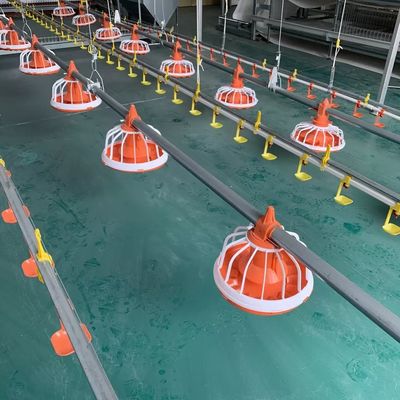 EO Feeding Poultry Farm Equipment سیستم تغذیه خودکار برای طیور 1 سال گارانتی