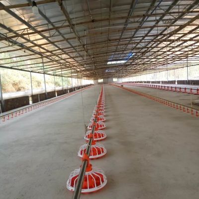 خط تغذیه تجهیزات مرغداری 14 Grid 16 Grid برای مرغ