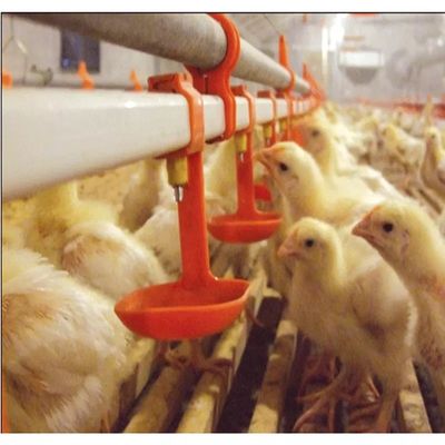 سیستم نوشیدنی نوک سینه مرغ بلدرچین پرنده 3 ماه گارانتی